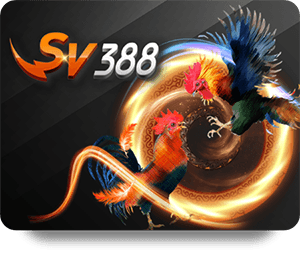H19 Slot Baccarat: Mastering the Basics for Beginners